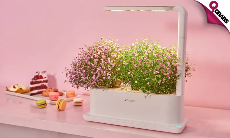 3-Plant Flora Grow Box!